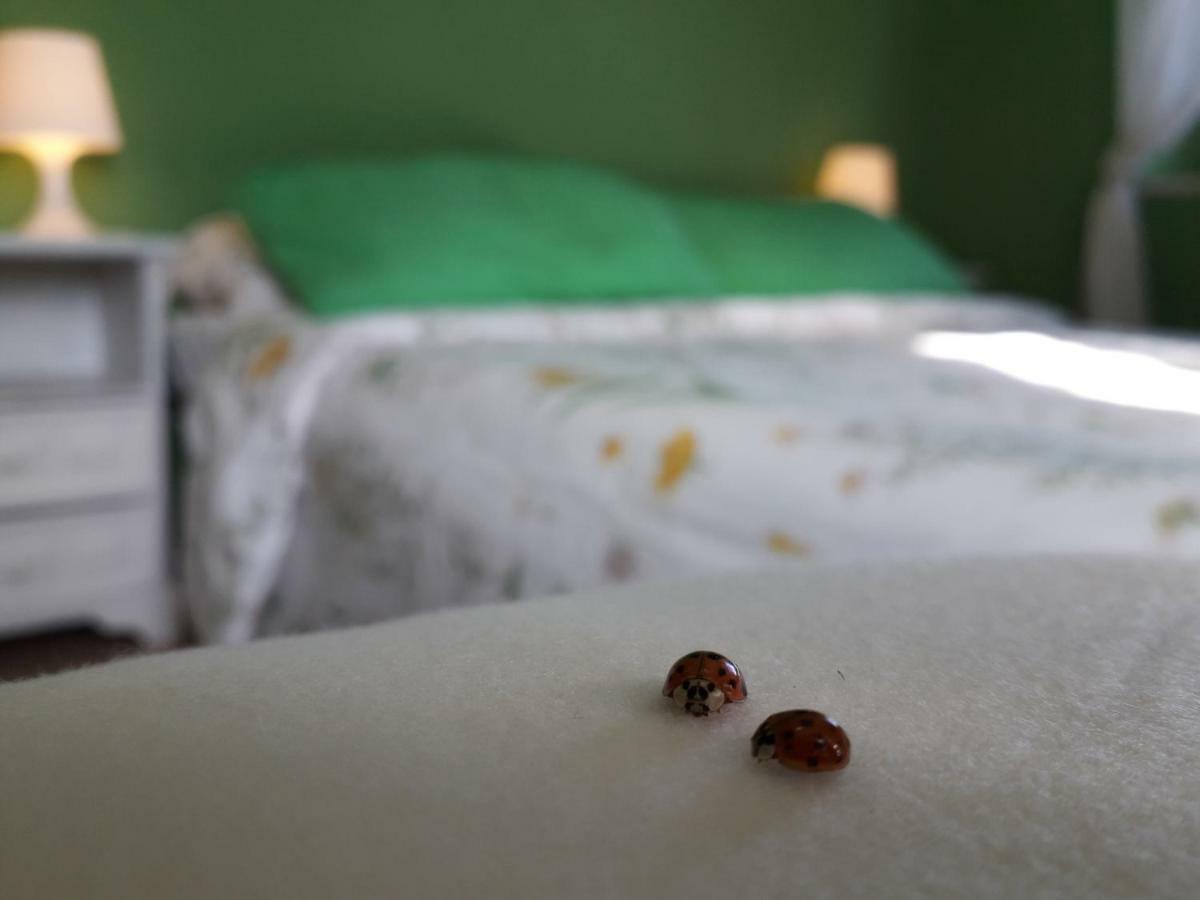 Alle Preci Country House Santa Restituta Ngoại thất bức ảnh