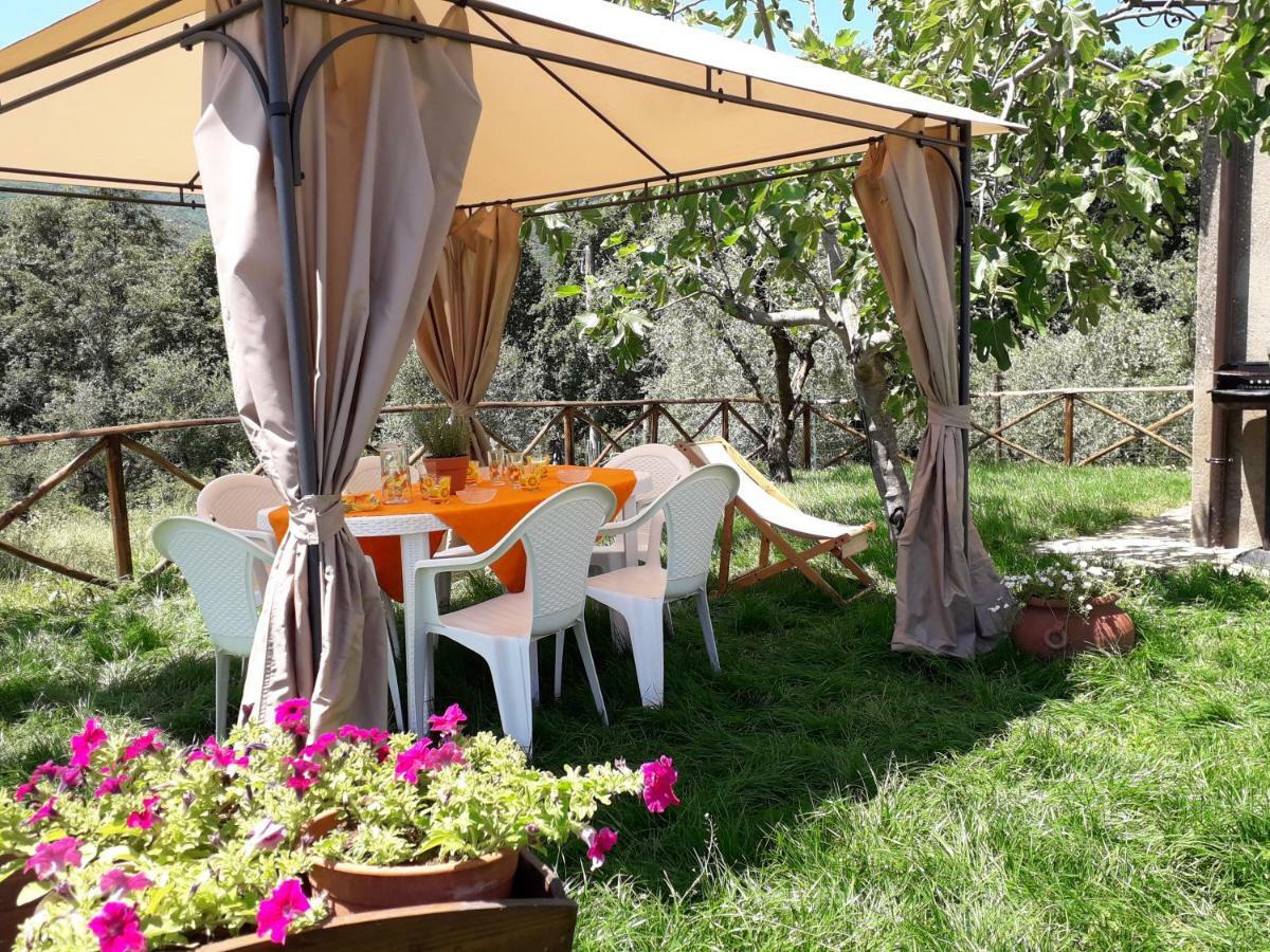 Alle Preci Country House Santa Restituta Ngoại thất bức ảnh