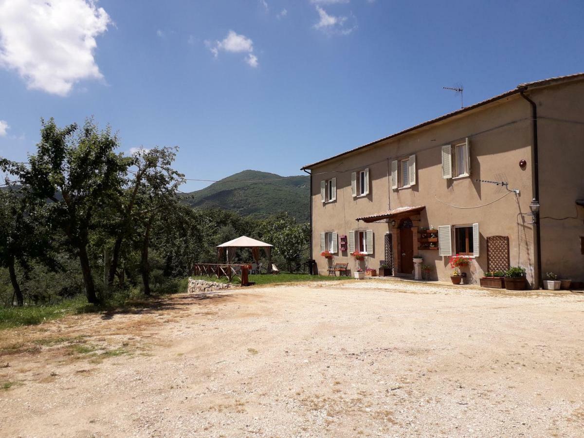 Alle Preci Country House Santa Restituta Ngoại thất bức ảnh