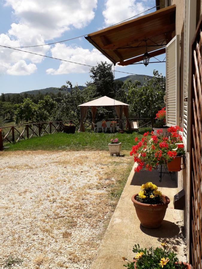 Alle Preci Country House Santa Restituta Ngoại thất bức ảnh
