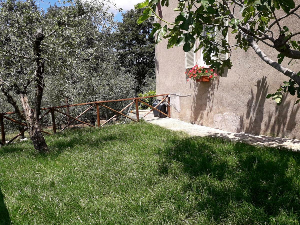Alle Preci Country House Santa Restituta Ngoại thất bức ảnh