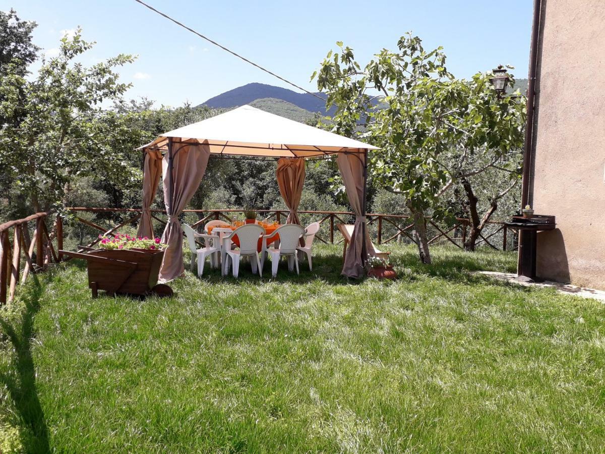 Alle Preci Country House Santa Restituta Ngoại thất bức ảnh